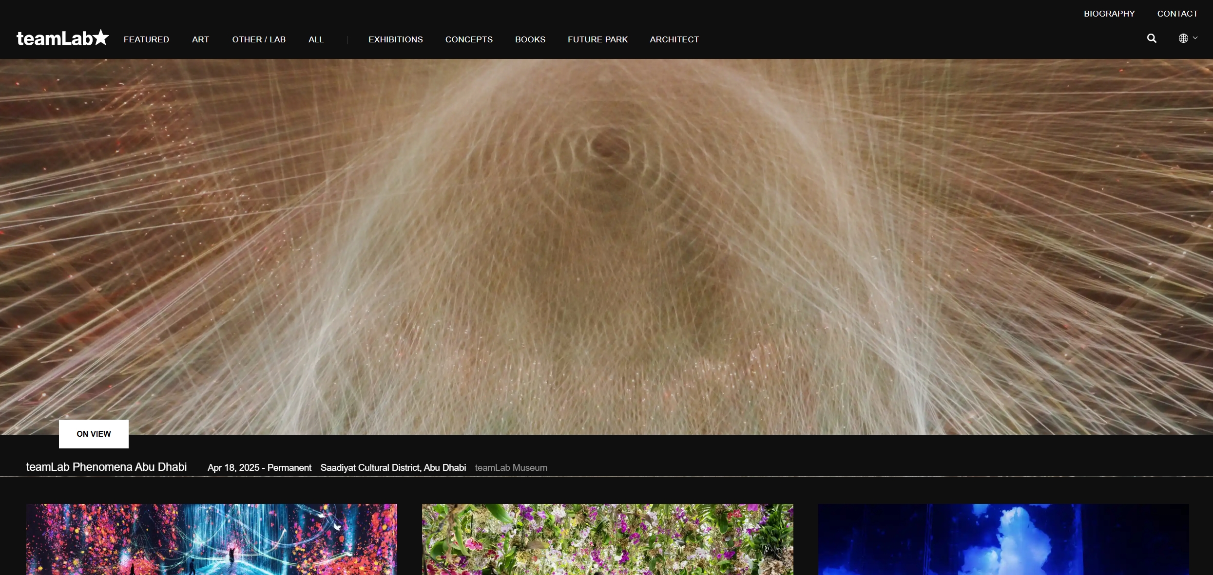 艺术团体  teamLab